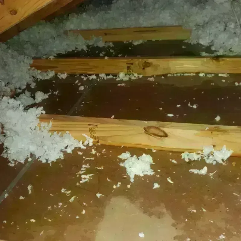 Attic Water Damage in Denmark, WI