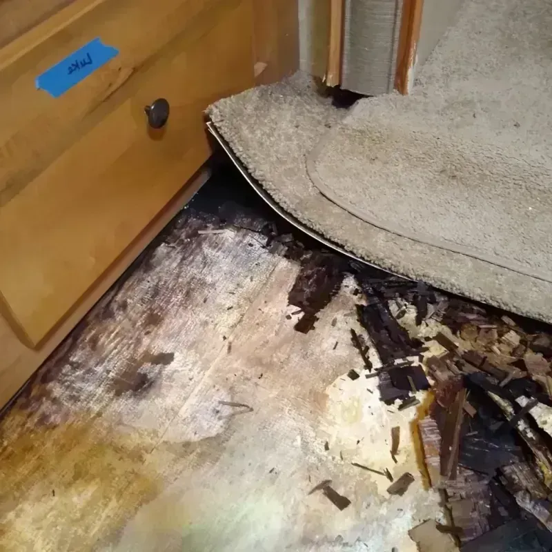 Wood Floor Water Damage in Denmark, WI